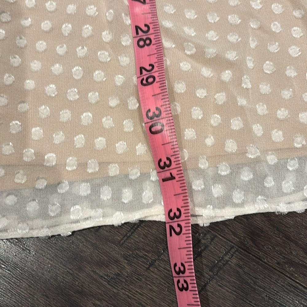 Bcbg Maxazria Kitra,Baby Doll,Embroidered Lace, Pin Dot,Balloon Sleeve,Lined — image 8 of 8